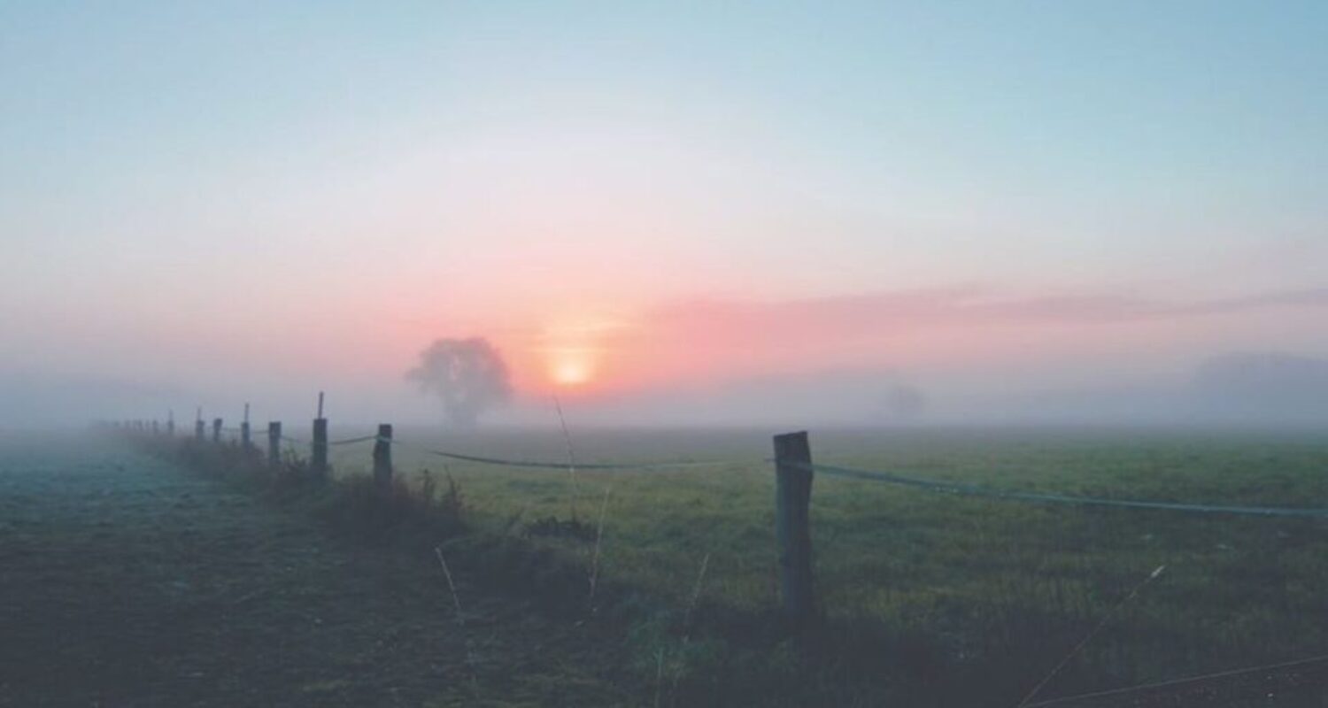 UDARA PAGI
